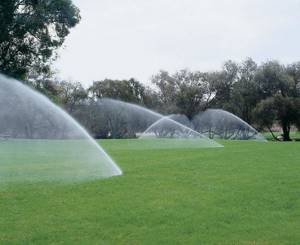 6 советов, как поливать газон: оборудование, частота, нормы