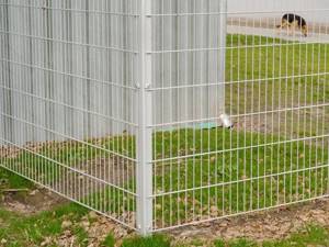 Забор из сварной сетки: 8 советов по выбору