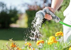 Садовый шланг для полива: 7 советов по выбору