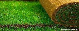 11 советов, как укладывать рулонный газон своими руками. Устройство рулонного газона